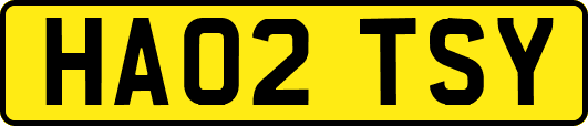 HA02TSY