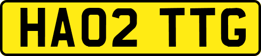 HA02TTG