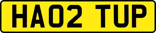 HA02TUP