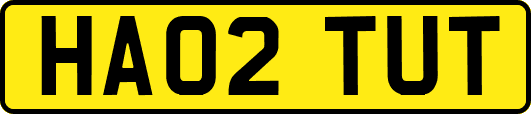 HA02TUT