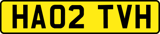 HA02TVH