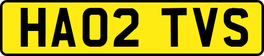 HA02TVS