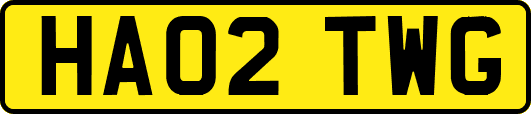 HA02TWG