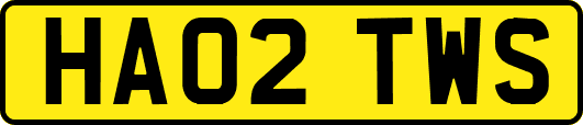 HA02TWS