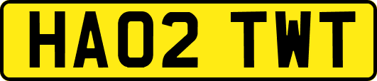 HA02TWT