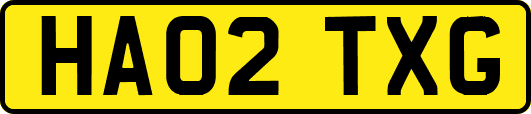 HA02TXG