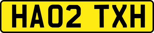 HA02TXH