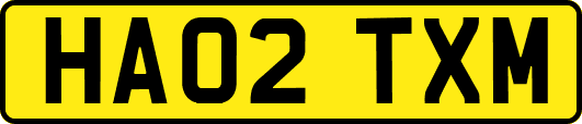 HA02TXM