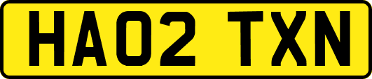HA02TXN