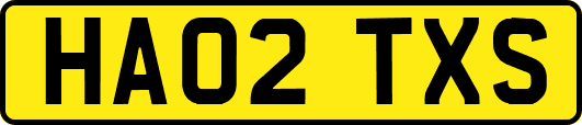 HA02TXS