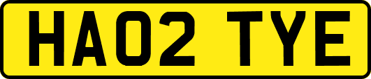 HA02TYE