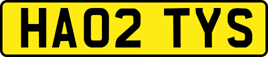 HA02TYS