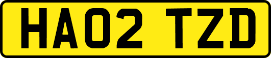 HA02TZD