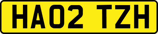 HA02TZH