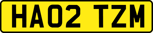 HA02TZM
