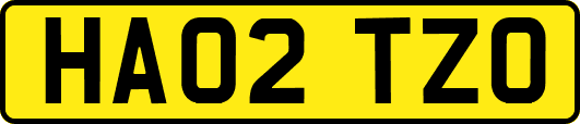HA02TZO