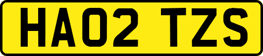 HA02TZS
