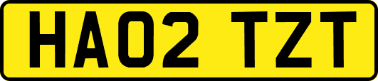 HA02TZT