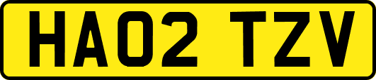 HA02TZV