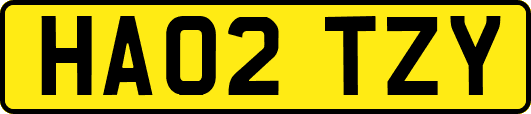 HA02TZY
