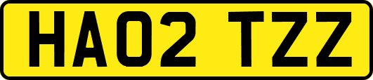 HA02TZZ
