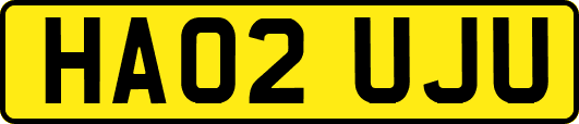 HA02UJU