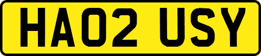 HA02USY