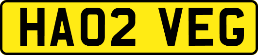 HA02VEG