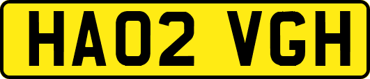 HA02VGH