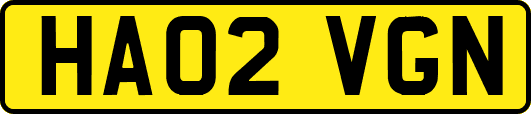 HA02VGN