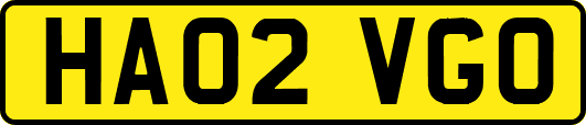 HA02VGO