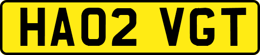 HA02VGT