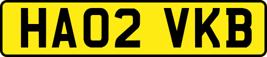 HA02VKB