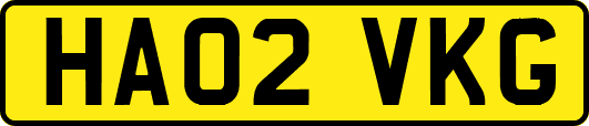 HA02VKG