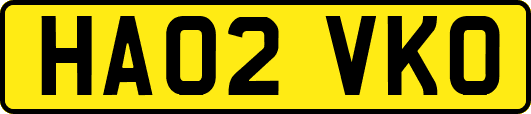 HA02VKO