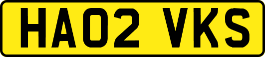 HA02VKS