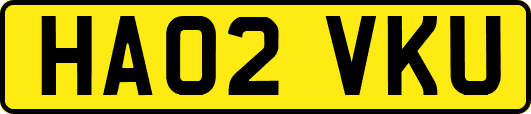 HA02VKU