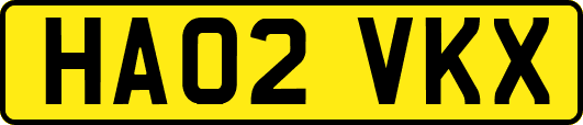 HA02VKX