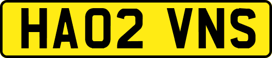 HA02VNS