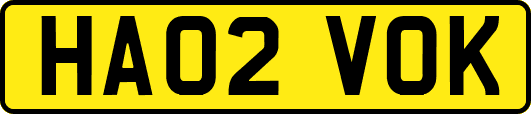 HA02VOK