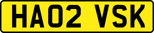 HA02VSK