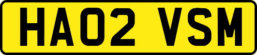 HA02VSM