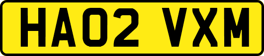 HA02VXM