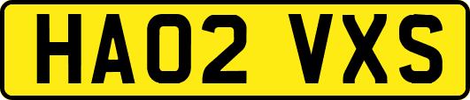 HA02VXS