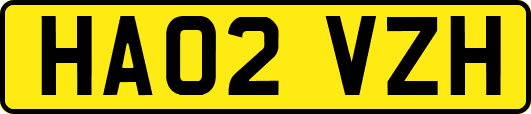 HA02VZH