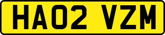 HA02VZM
