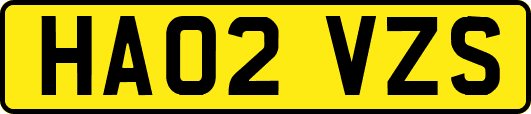 HA02VZS