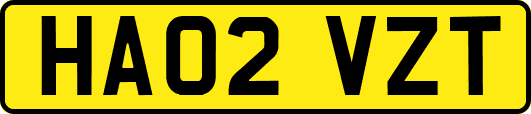 HA02VZT