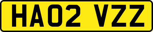 HA02VZZ