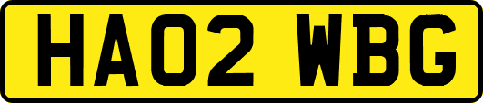 HA02WBG